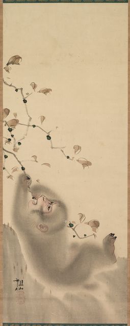 Monkey Hanging on to a Branch