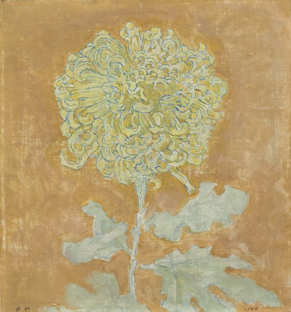 Chrysanthemum