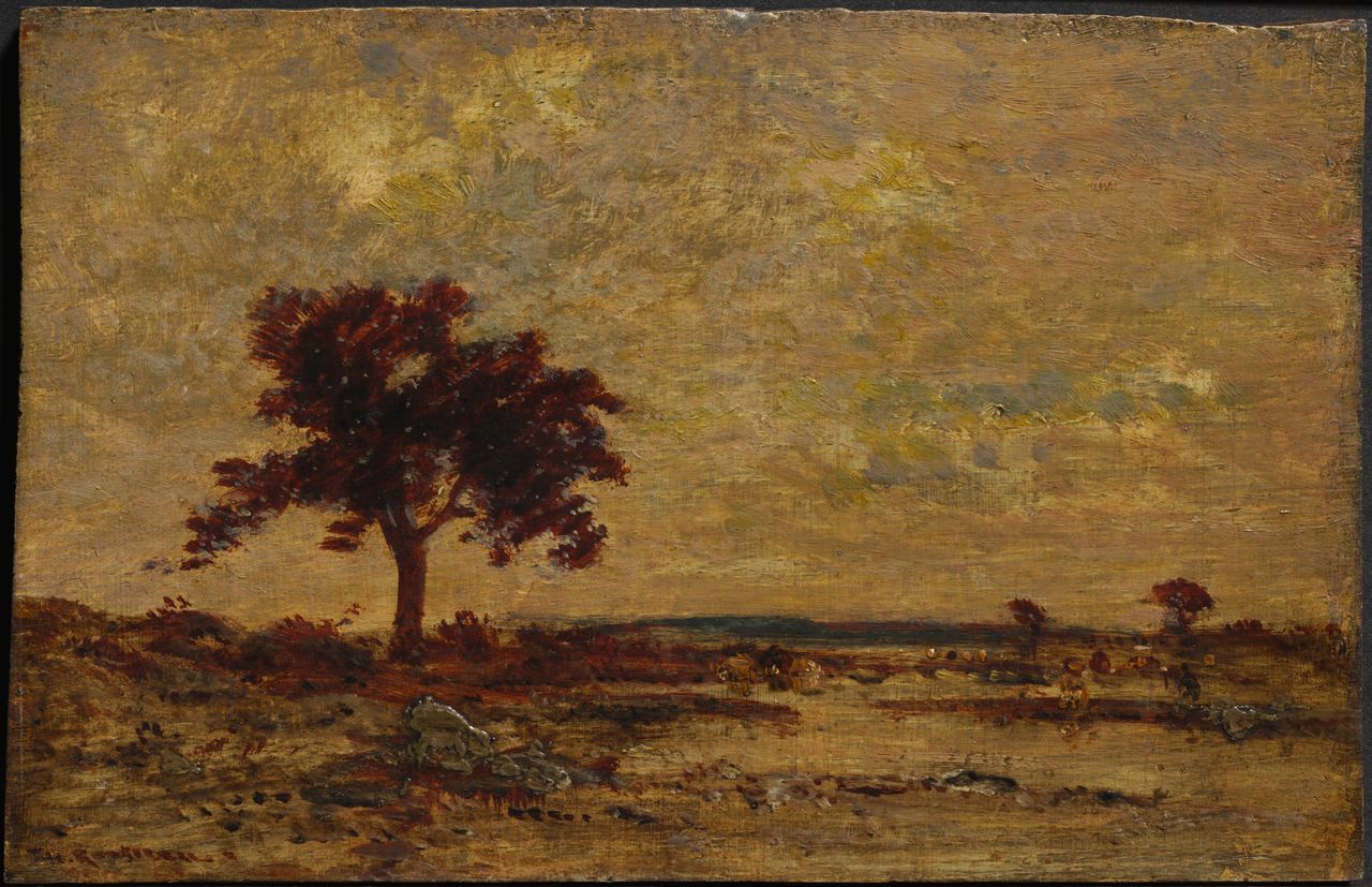 Marshlands