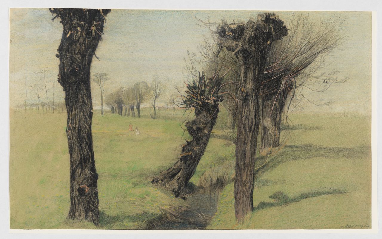 Willow trees at a brook (Weidenbach near Neuostra)