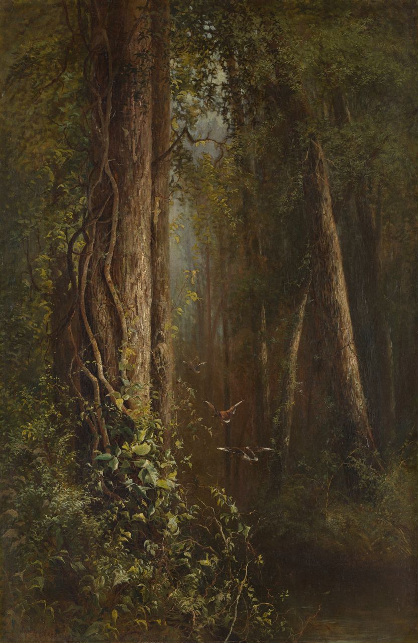 Ducks in the Woods