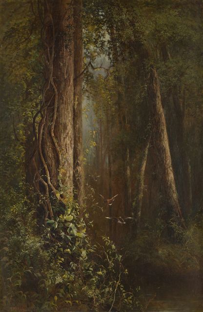Ducks in the Woods