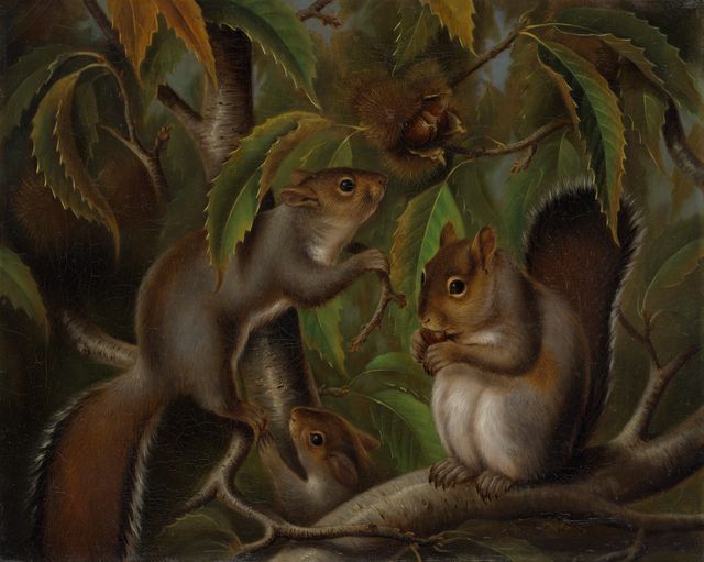Untitled (Squirrels in a Chestnut Tree)