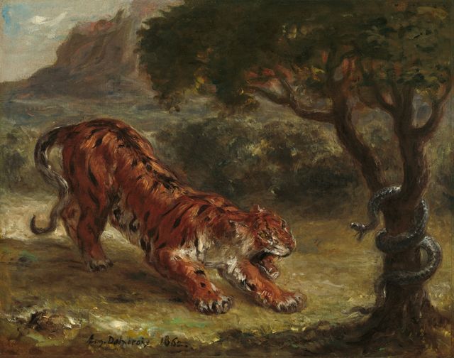 Tiger and Snake