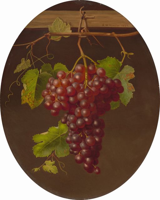 Hanging Bunch of Grapes