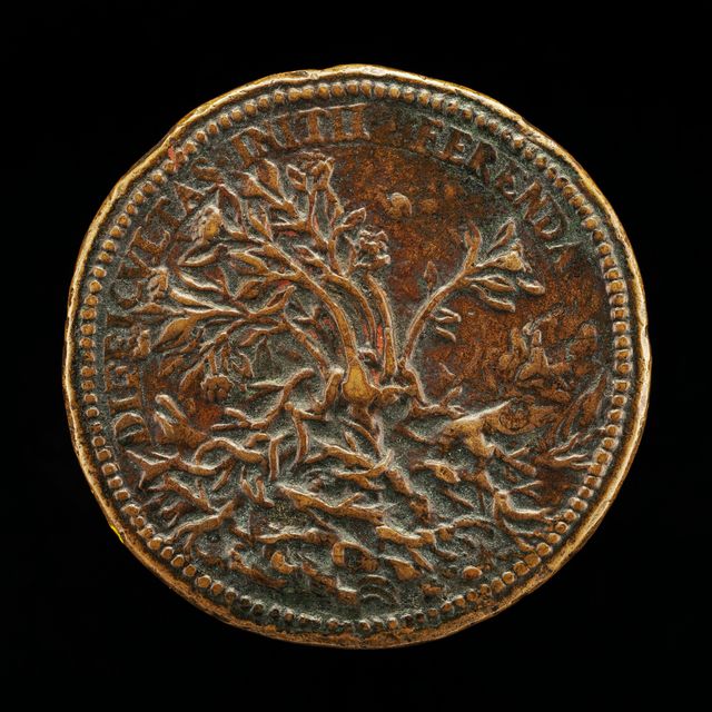 Flowering Shrub Growing through Thorns [reverse]