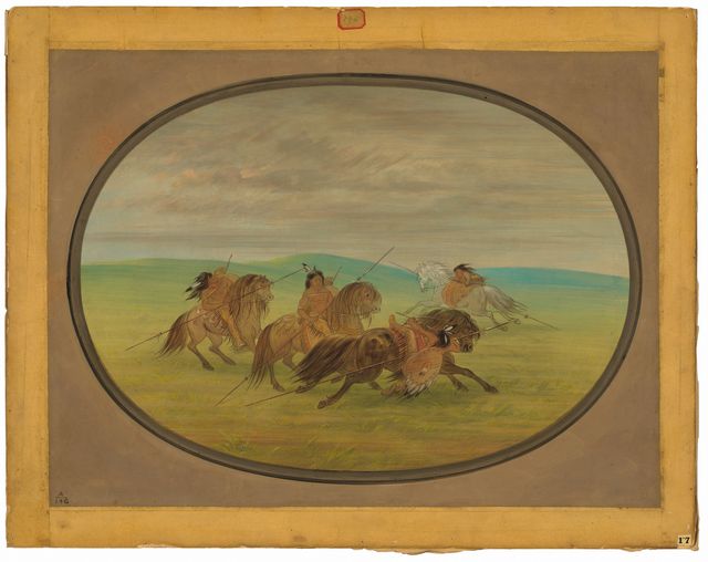 Camanchee Horsemanship