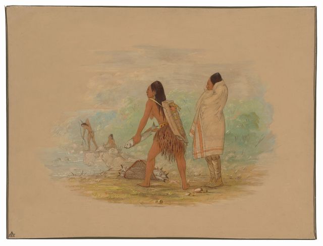 Flathead Indians