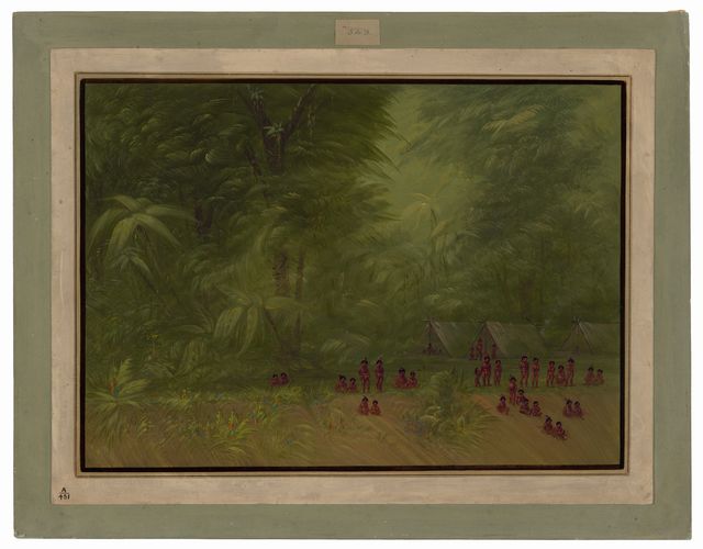 Indian Camp in the Forest