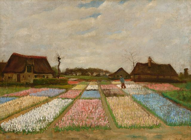 Flower Beds in Holland