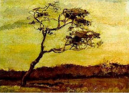 A Wind-Beaten Tree