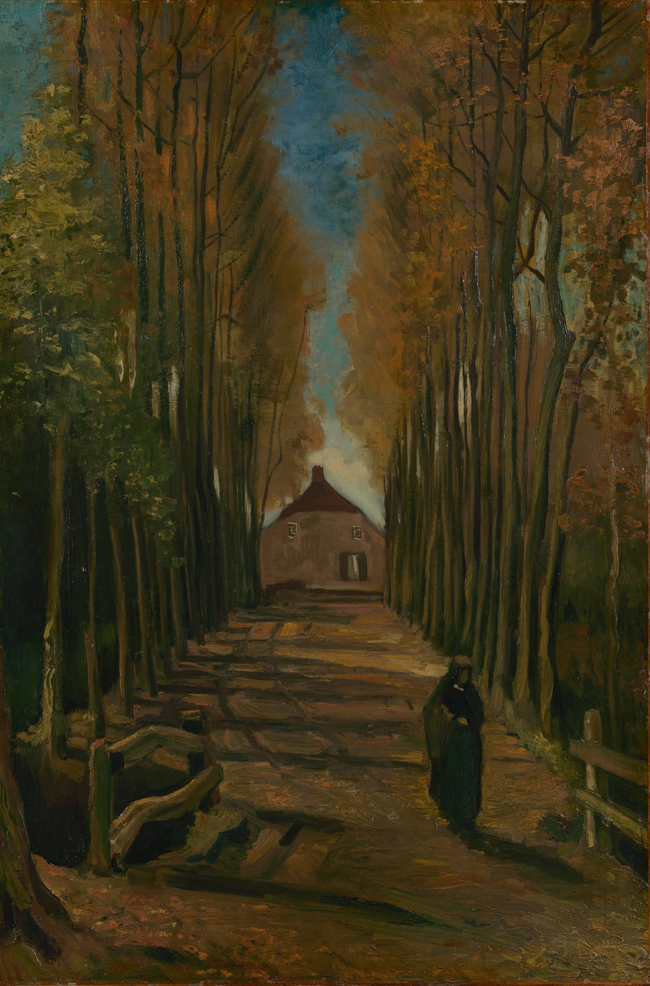 Avenue of Poplars in Autumn