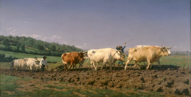 Ploughing in the Nivernais