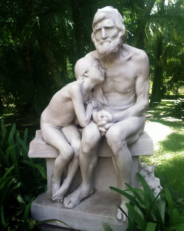 Los primeros fríos