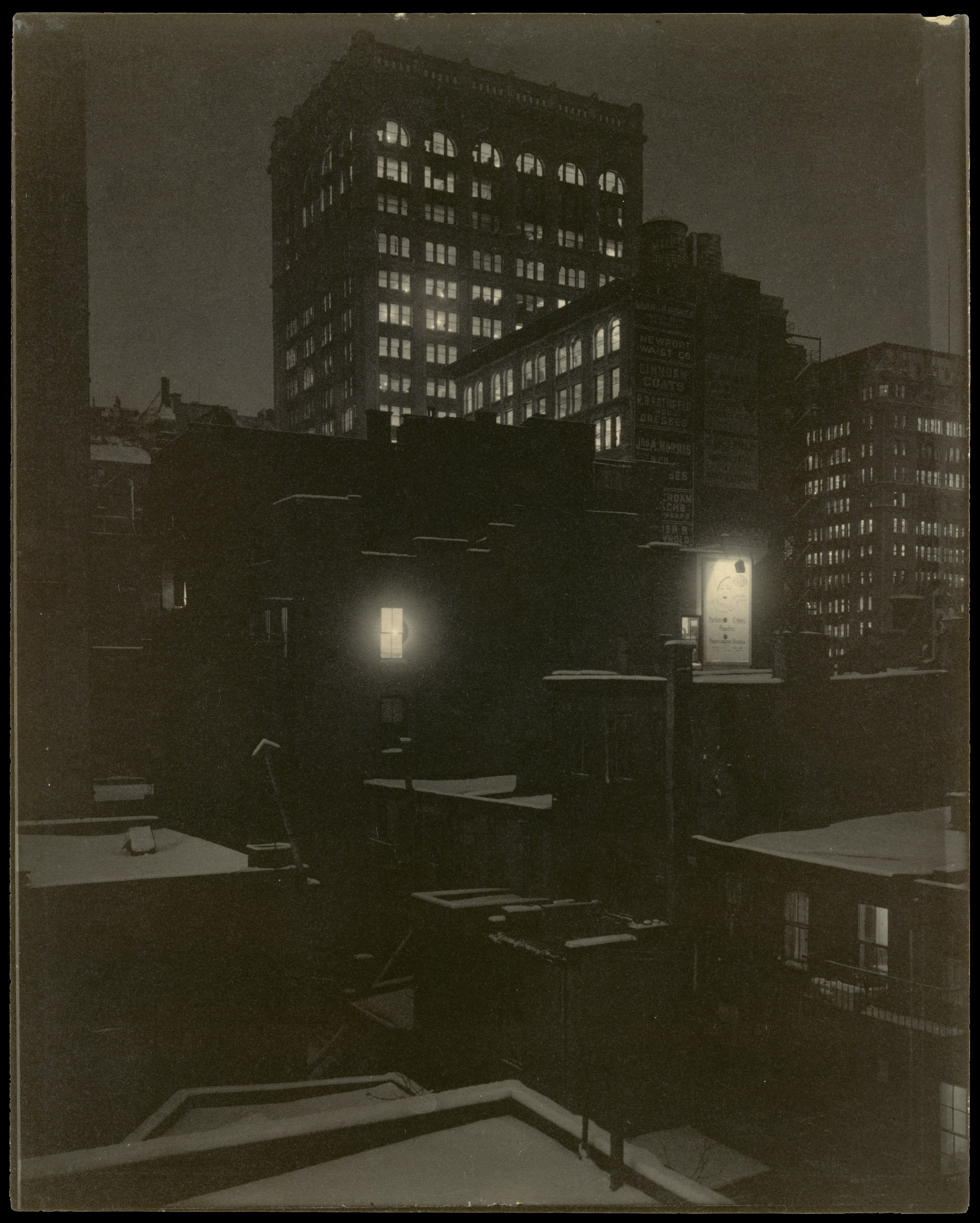 From the Back Window - 291