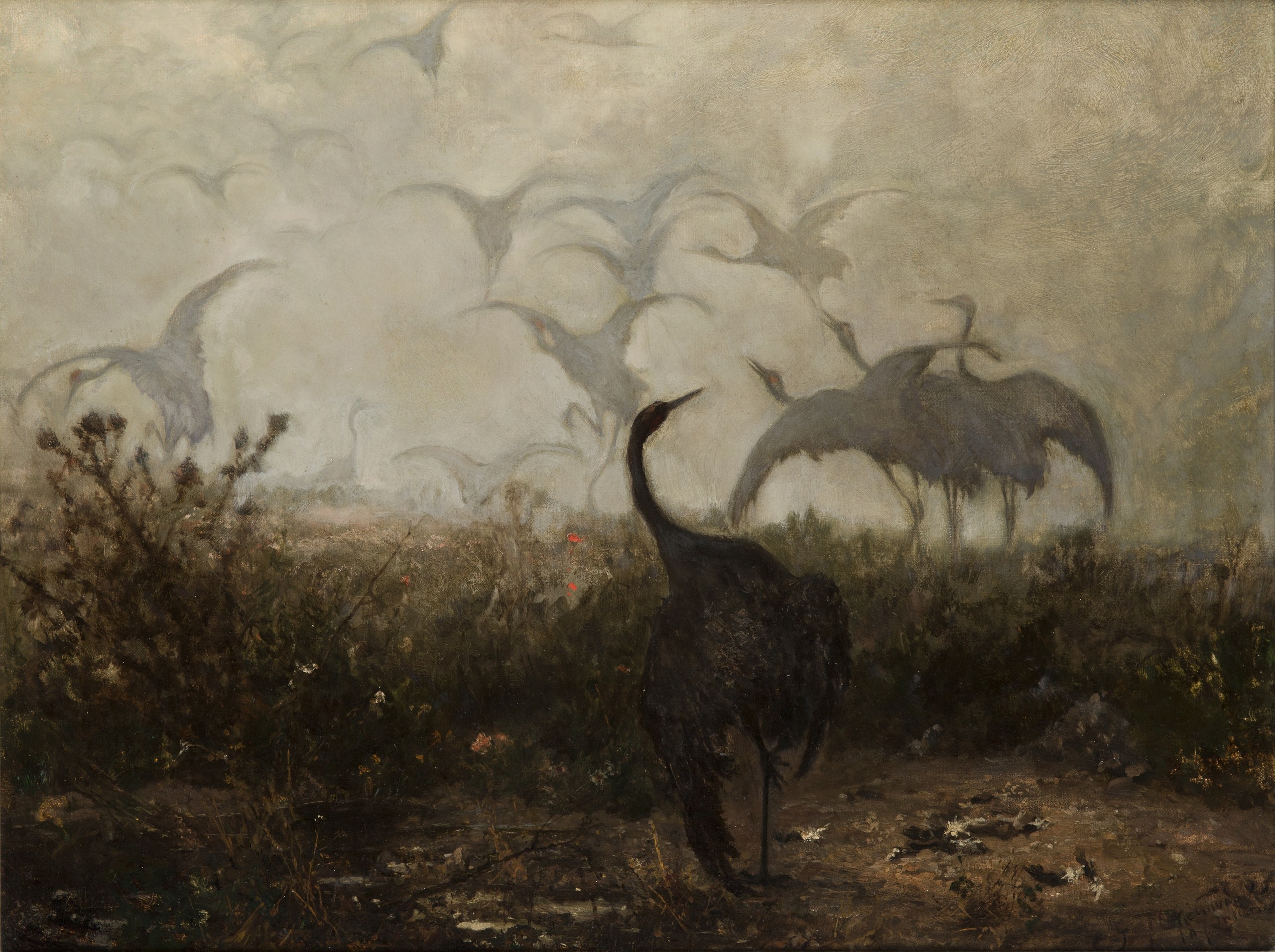 Cranes