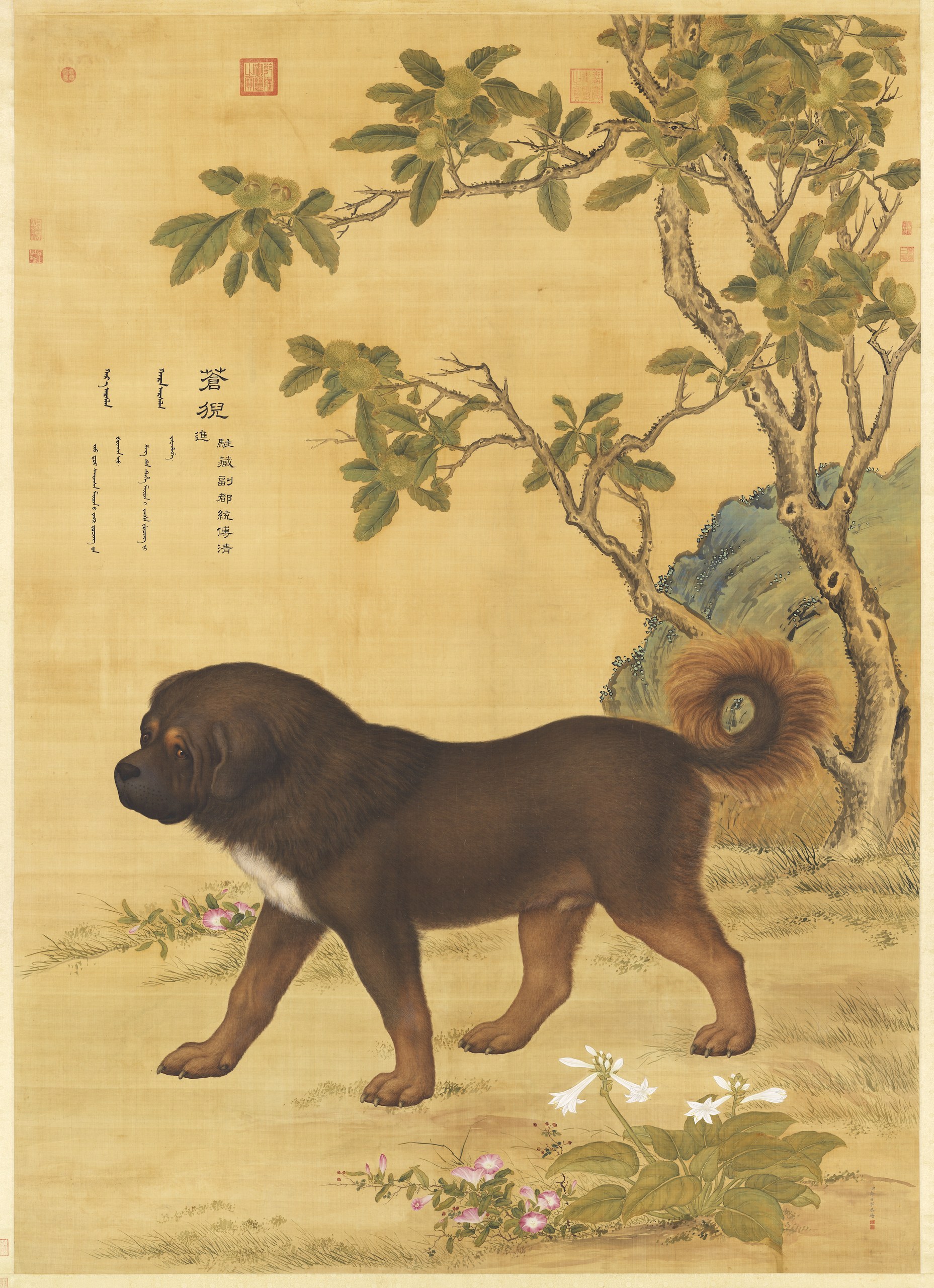 Ten Prized Dogs
