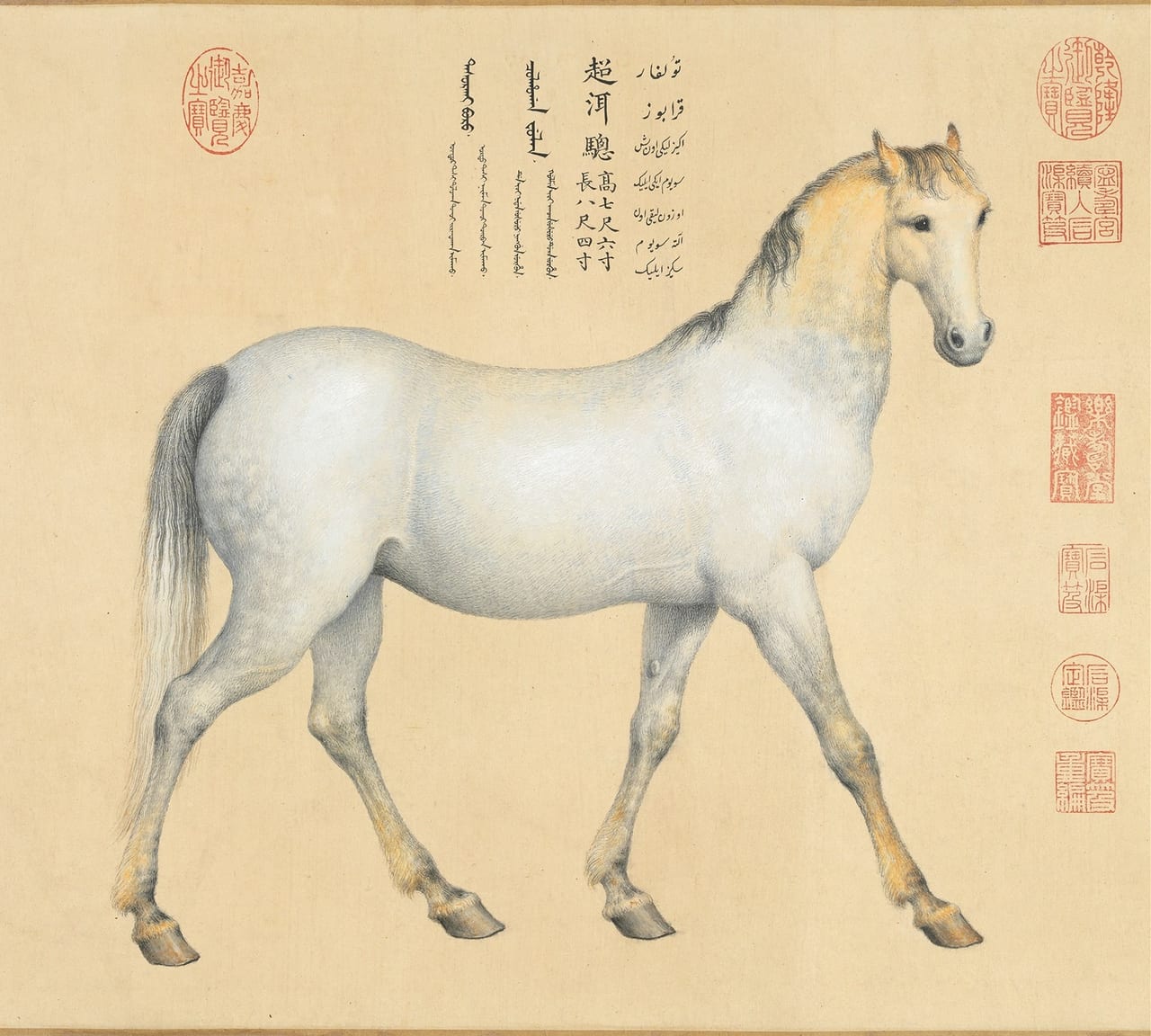 Afghan Four Steeds