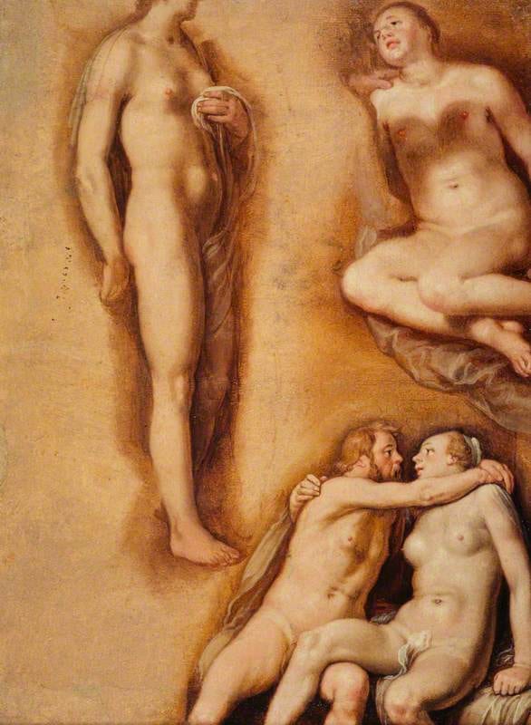 Nude Figure Studies