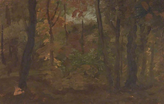 A View in a Wood