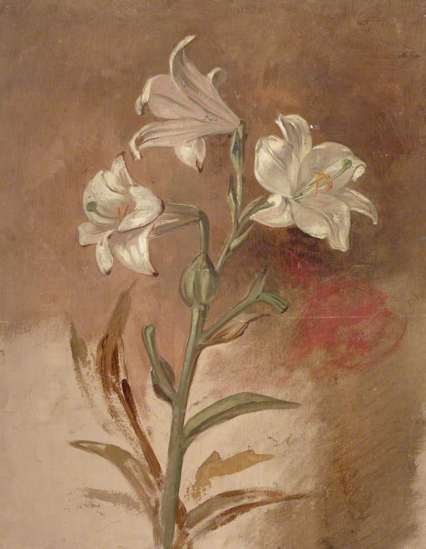 White Lilies