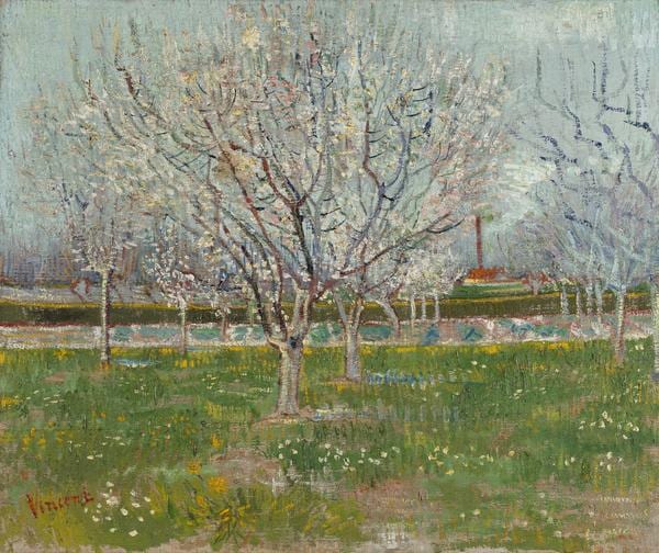 Orchard in Blossom