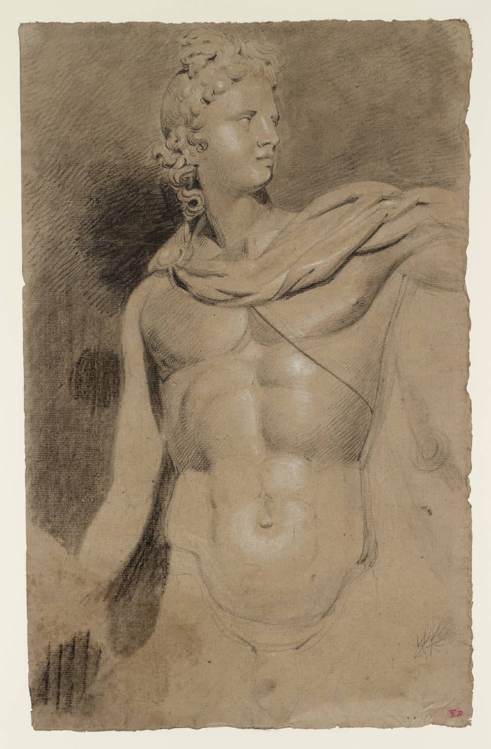 The Head and Torso of the Apollo Belvedere