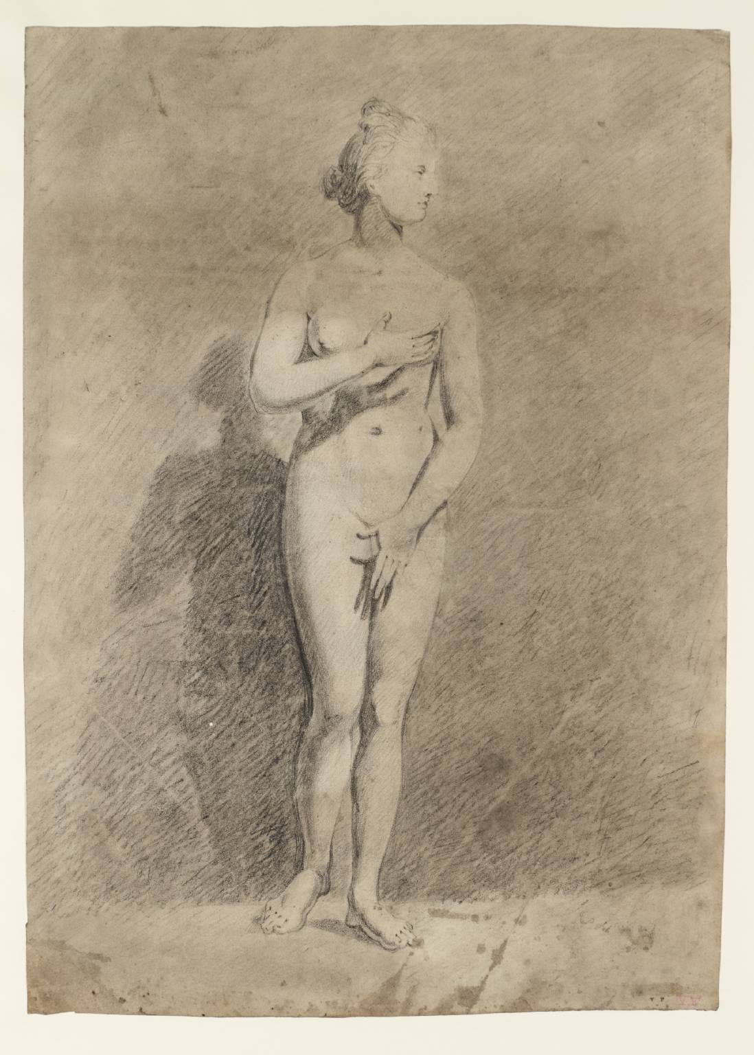 Study of the Venus de’ Medici