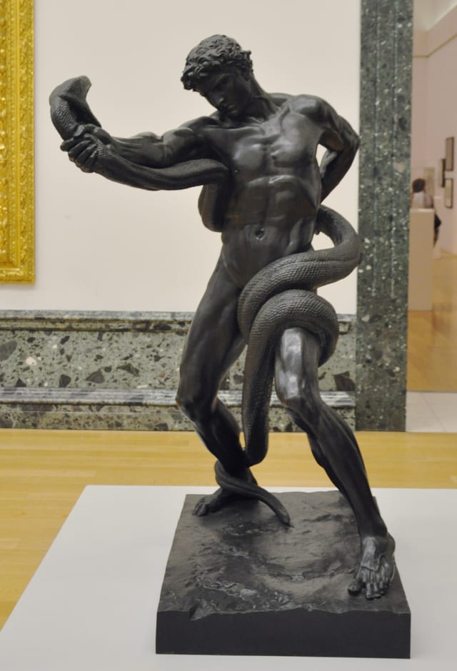 An Athlete Wrestling with a Python