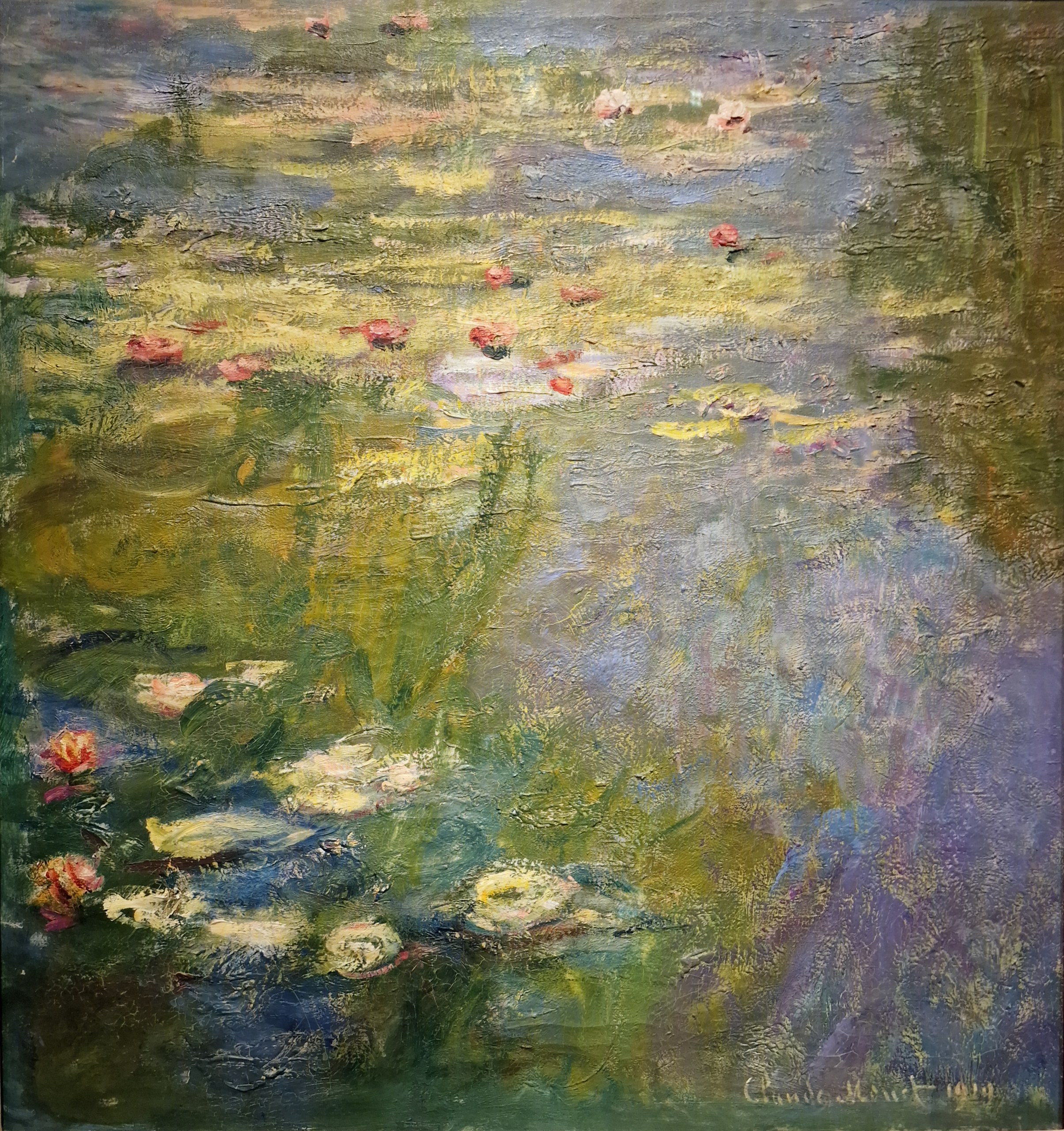 Water Lily Pond