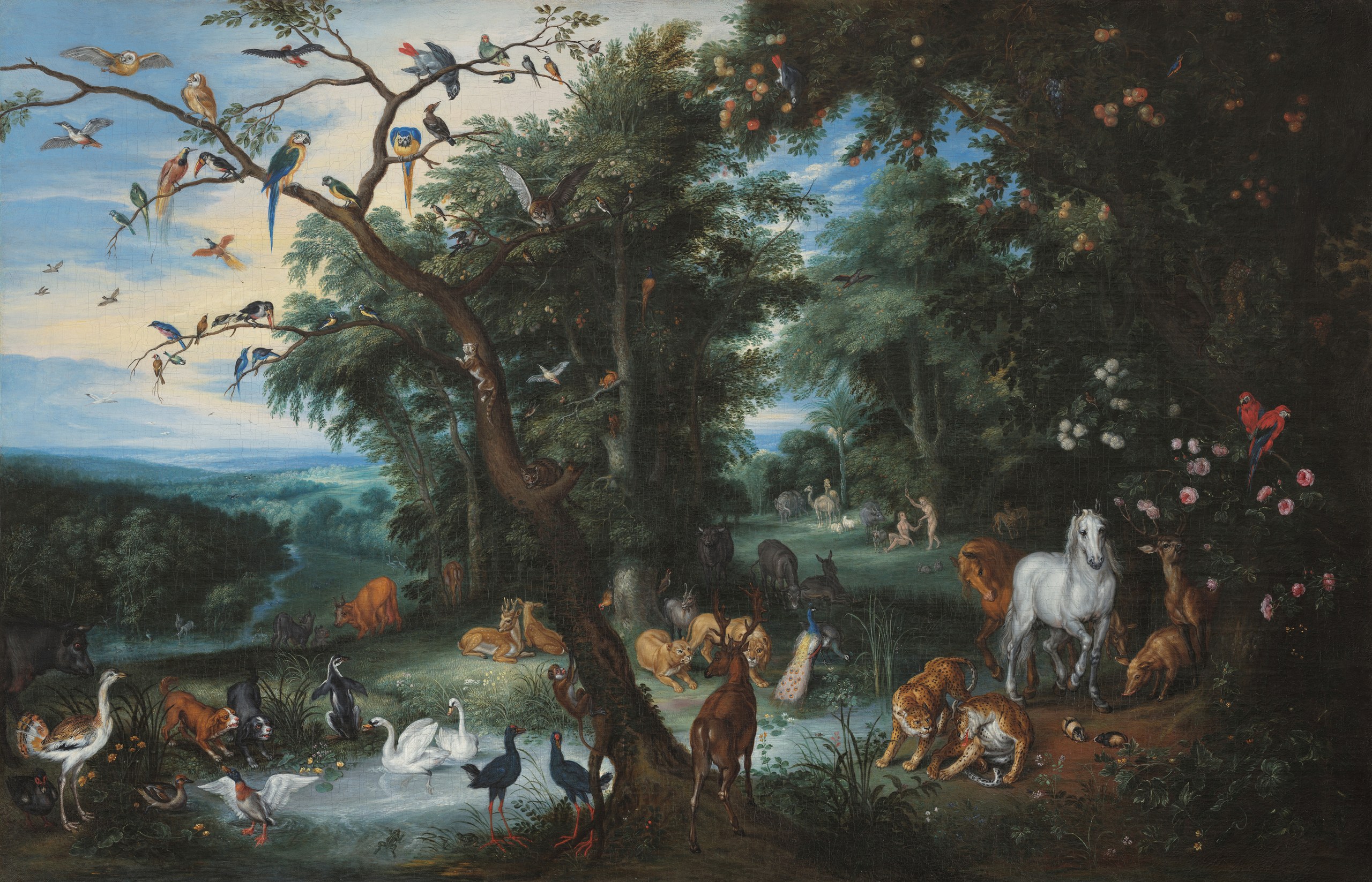The Garden of Eden