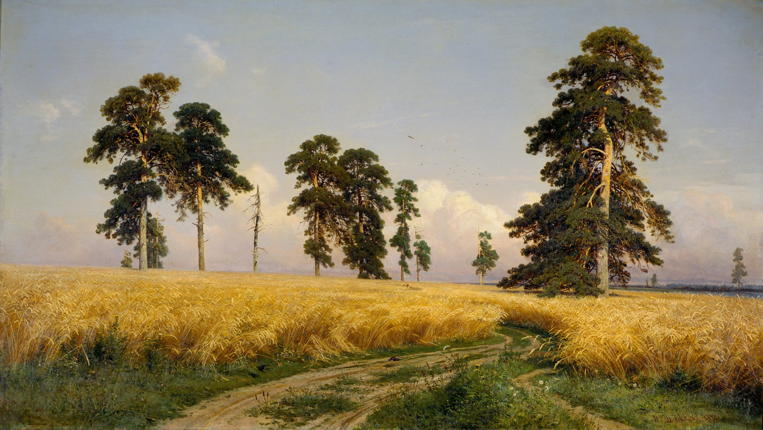Rye Fields