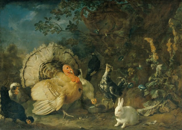 Domestic poultry and rabbit